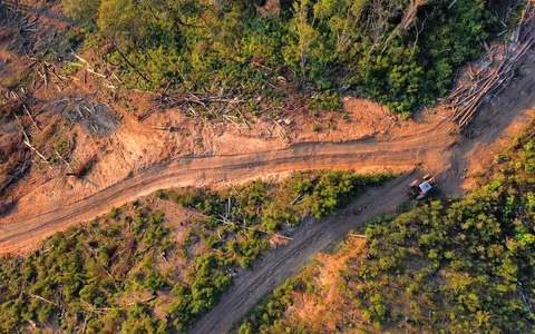 Vista aérea do acompanhamento de uma operação de extração madeireira